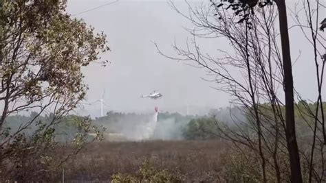 incendio san gavino|Vasto incendio a San Gavino, le immagini dello spegnimento